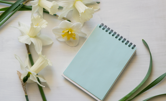 daffodils notepad